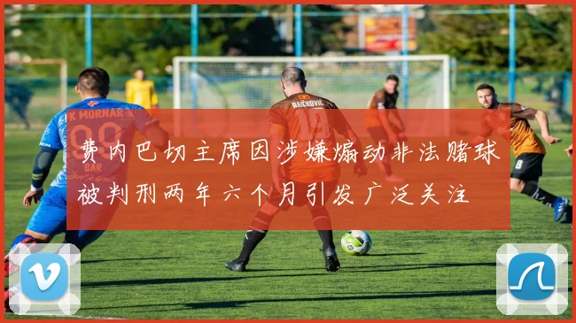 费内巴切主席因涉嫌煽动非法赌球被判刑两年六个月引发广泛关注