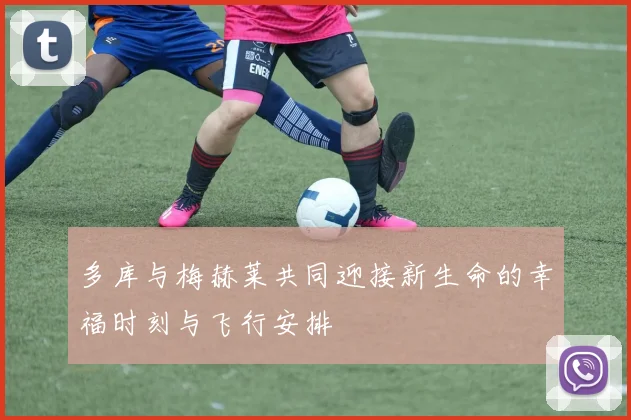 多库与梅赫莱共同迎接新生命的幸福时刻与飞行安排