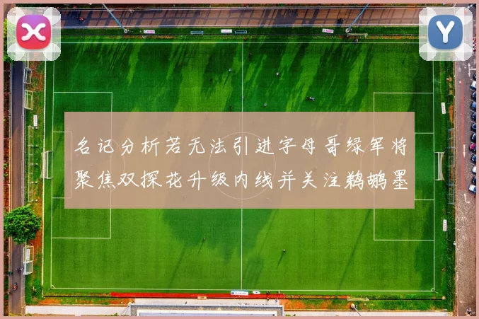 名记分析若无法引进字母哥绿军将聚焦双探花升级内线并关注鹈鹕墨菲