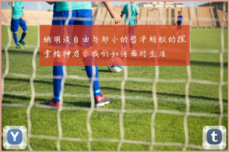 姚明谈自由与渺小的哲学蚂蚁的探索精神启示我们如何面对生活